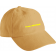 color:camel