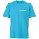 color:turquoise